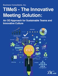 TIMeS - The Innovative Meeting Solution TIMeS - The Innovative Meeting Solution